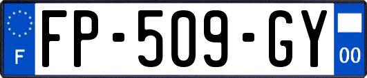 FP-509-GY