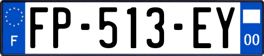 FP-513-EY