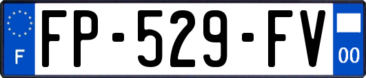 FP-529-FV