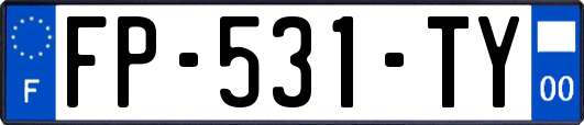 FP-531-TY