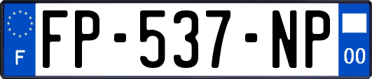 FP-537-NP