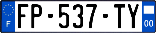 FP-537-TY