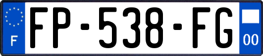 FP-538-FG