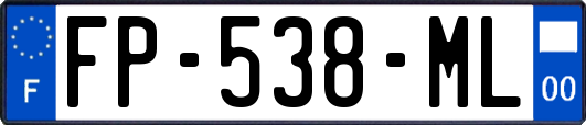 FP-538-ML