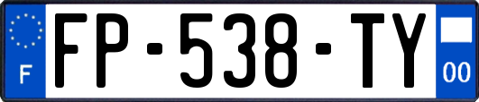 FP-538-TY