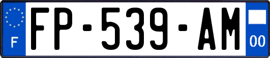 FP-539-AM