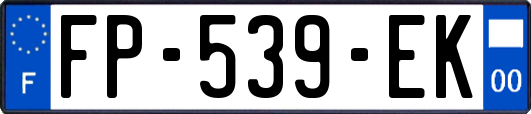 FP-539-EK