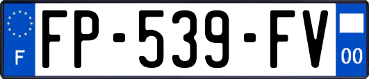 FP-539-FV