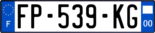 FP-539-KG