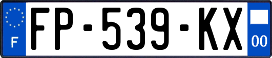 FP-539-KX