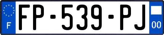 FP-539-PJ