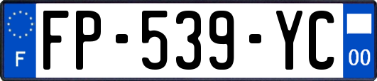 FP-539-YC
