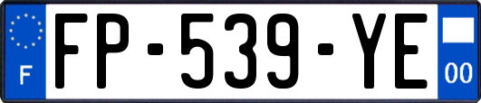 FP-539-YE