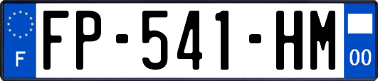 FP-541-HM