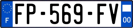 FP-569-FV