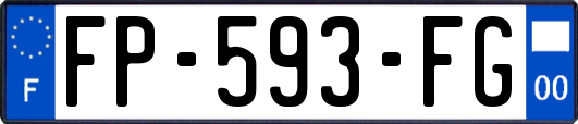 FP-593-FG