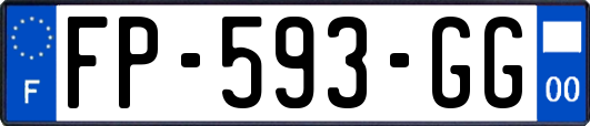 FP-593-GG