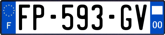 FP-593-GV