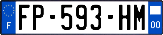 FP-593-HM