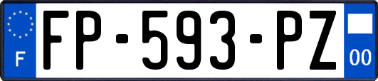 FP-593-PZ