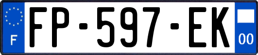 FP-597-EK