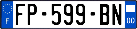 FP-599-BN