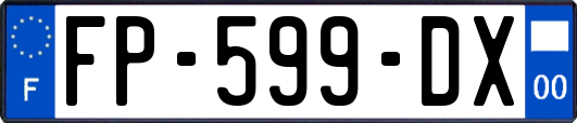 FP-599-DX