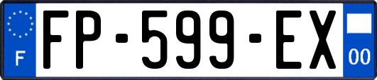 FP-599-EX
