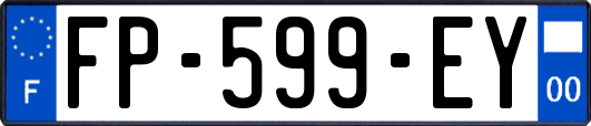 FP-599-EY
