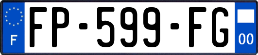 FP-599-FG