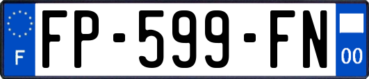 FP-599-FN