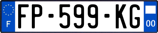 FP-599-KG