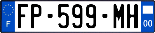 FP-599-MH