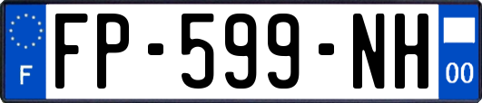 FP-599-NH