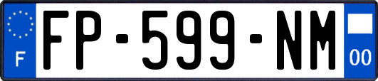 FP-599-NM