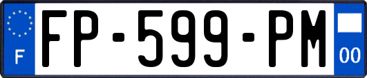 FP-599-PM