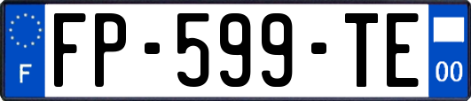 FP-599-TE