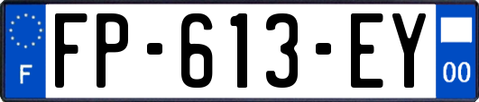 FP-613-EY