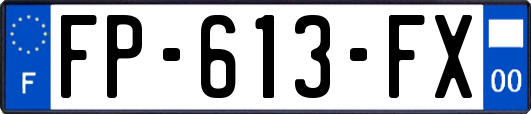 FP-613-FX