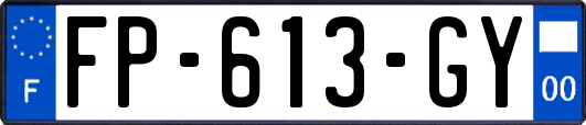 FP-613-GY