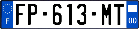 FP-613-MT