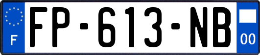 FP-613-NB