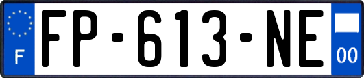 FP-613-NE