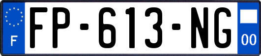 FP-613-NG