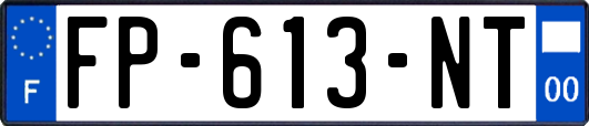 FP-613-NT