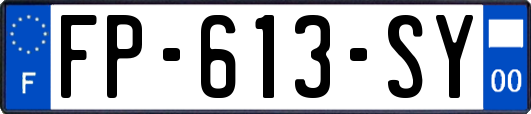 FP-613-SY