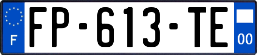FP-613-TE