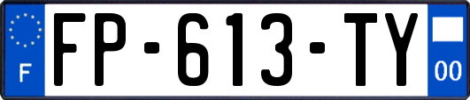 FP-613-TY