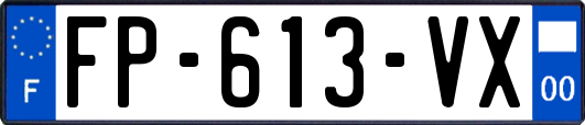FP-613-VX