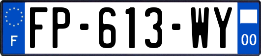 FP-613-WY